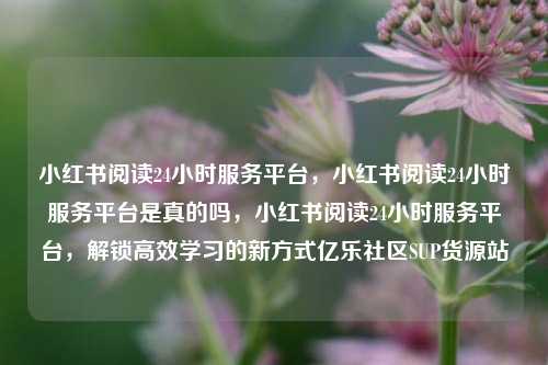小红书阅读24小时服务平台，小红书阅读24小时服务平台是真的吗	，小红书阅读24小时服务平台，解锁高效学习的新方式亿乐社区SUP货源站  第1张