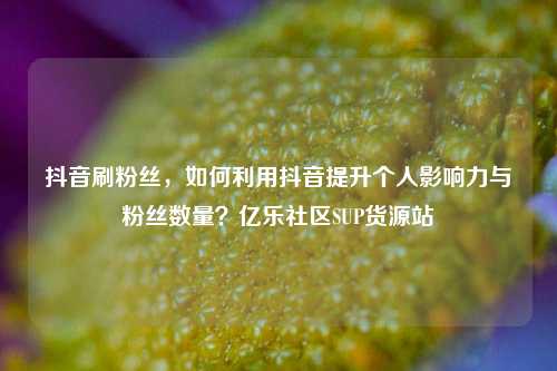 抖音刷粉丝，如何利用抖音提升个人影响力与粉丝数量？亿乐社区SUP货源站  第1张